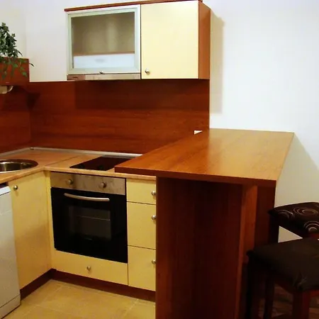 Apartahotel Rio Grande Hotel 4*